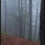 podzimní nálady (4)