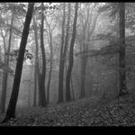 Podzimní nálady (7)