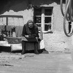 original slovenska..