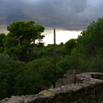 zahrada před bouří