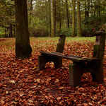Borský park2