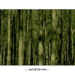 ... and all the trees ...
