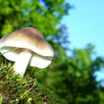 ...brát nebo nebrat...