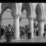 Evoluce v Benátkách