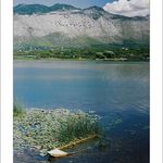 Albánie, Skadarské jezero