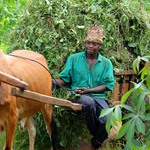 Zemědělec ze Zanzibaru