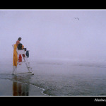 ...Very Hard Working Conditions...