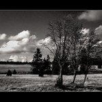 Krušnohorské pláně