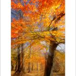 *** V rytmu podzimu ***