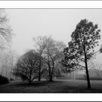 Návraty do veltruského parku XXII / C