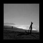 Rybaření v Pacifiku II