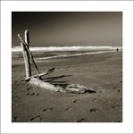 Rybaření v Pacifiku IV