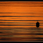 Aure_boja_2006_zapad