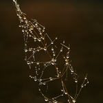 \"Vánoce přicházejí\"