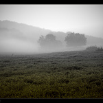 sleepy - creepy - fancy