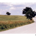 Malovaná podruhé ;-)