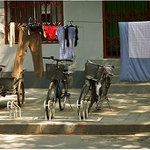 Sušíme kde se dá...