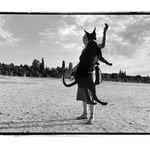 fotka s Hradčanama XIII