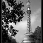 Kuníček na Sedlčansku