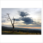 ...a život jde dál