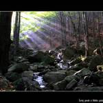 ....podzimní Jizerky....