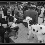 Kdesi na jihovýchodě II.