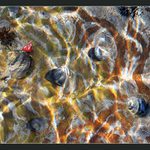 Podvodní šnečí chodníčky