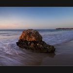 Zkamenělý střevíc