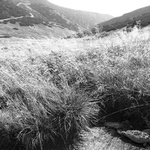 Snilovské sedlo