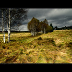 ... z toulek po Čechách...