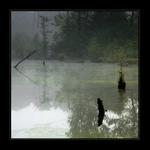 Ponurost pátečního rána I.