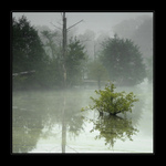 Ponurost pátečního rána II.