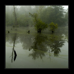 Ponurost pátečního rána III.