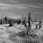 Krakonošova zahrádka...