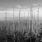 Smutný pohled na Krakonošovu zahrádku...