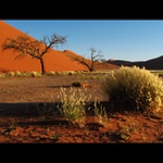 Živá i mŕtva Namíbia