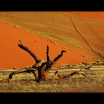 Živá i mŕtva  II.