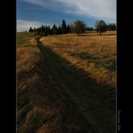 Šumava