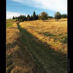 Šumava II