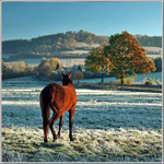 teplé dny odchází