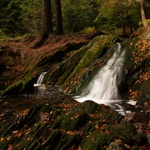 Podzim na Černé III