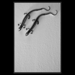 ..:: Racerunners ::..