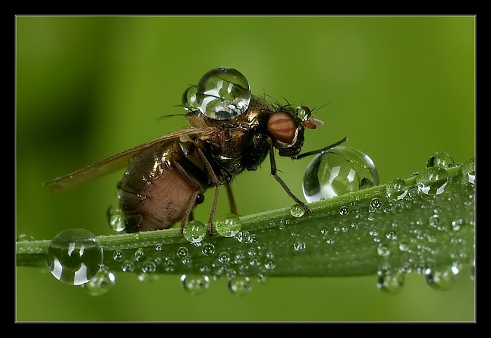 ...a tahle je taky moje...