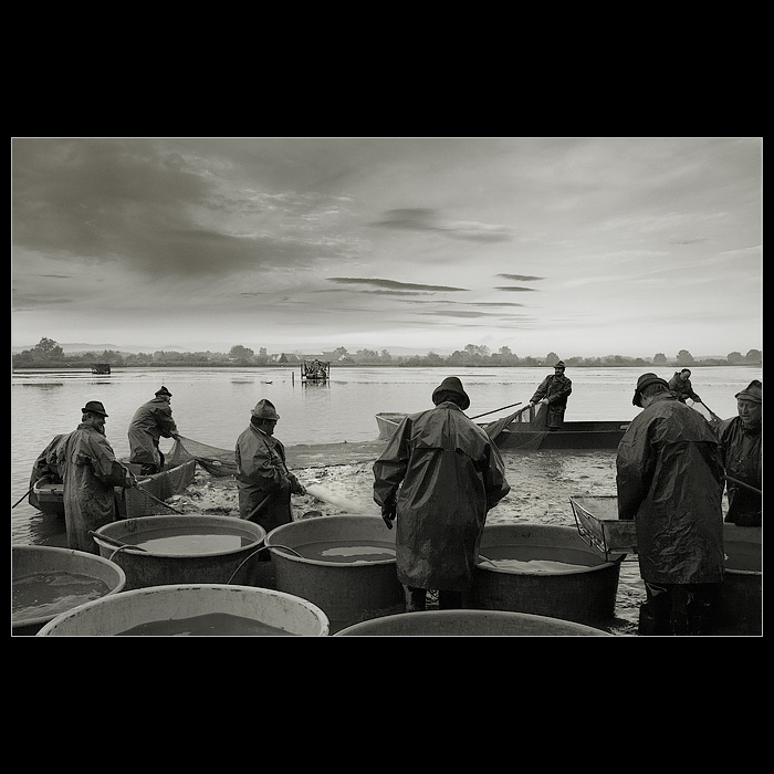 *site se stahuji II.*