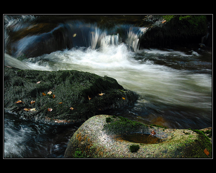 Studánka pro ptáčky...