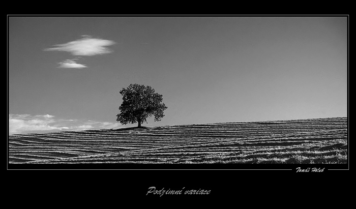 Vysočina podzimní II