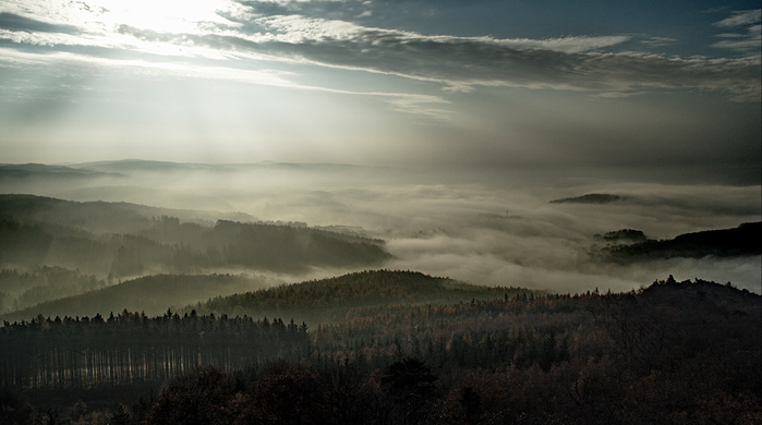 Ranní mlhavé tajemství