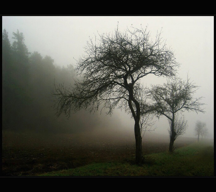 mlha stokrát jinak 001