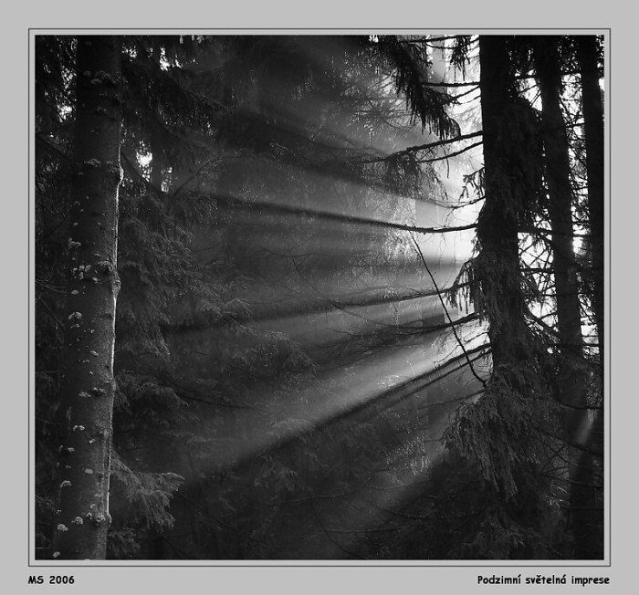 Podzimní světelné hry