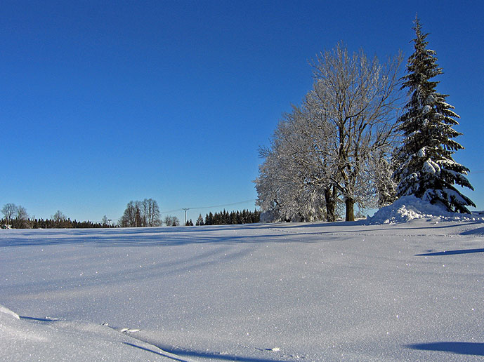takhle nejak by to u nas melo ted vypadat
